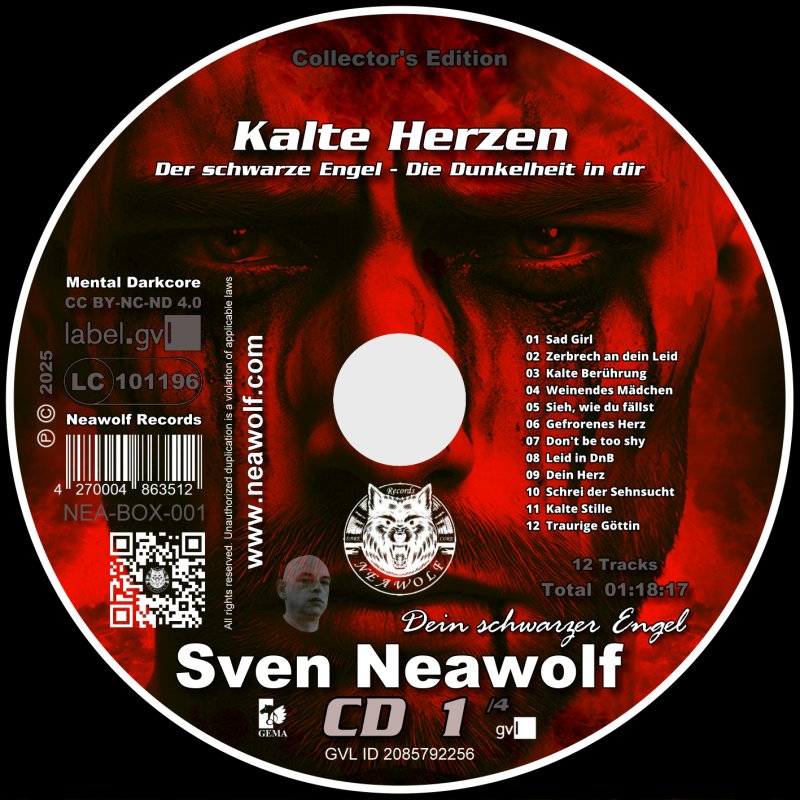 Der schwarze Engel – Kalte Herzen [CD]
